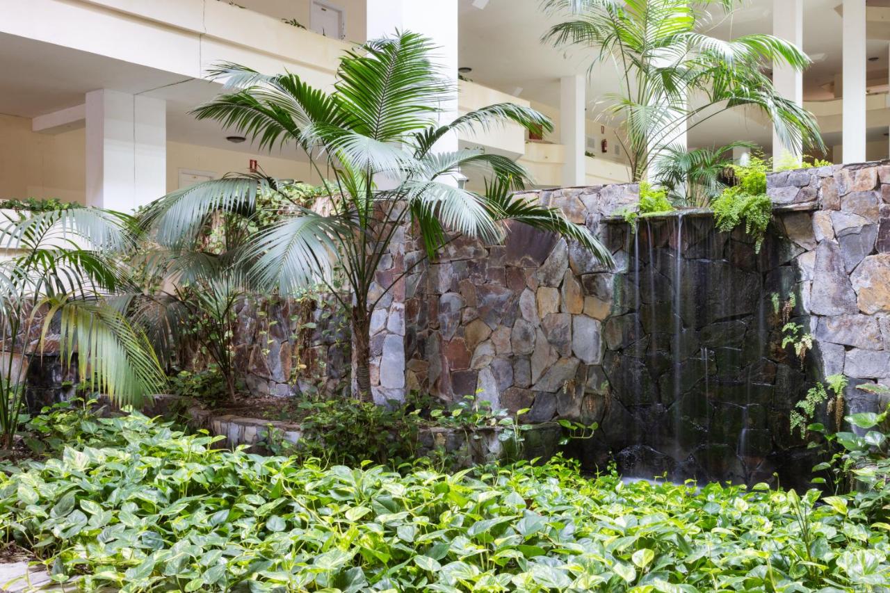 Apartamento con vistas al jardín - B&B Puerto de la Cruz