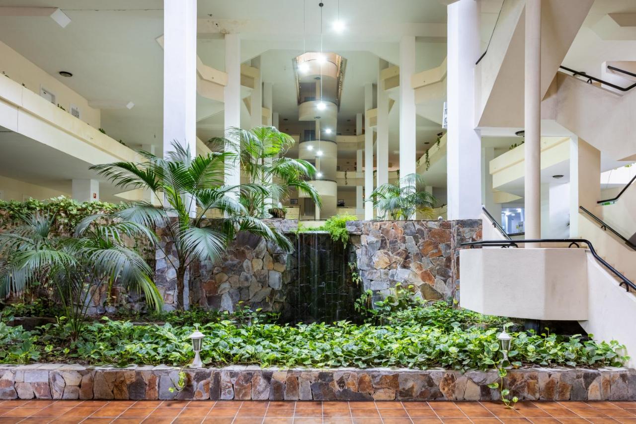 Apartamento con vistas al océano - Chambres d'hôtes Puerto de la Cruz