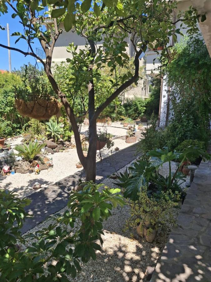 Sandra Holiday Home - Chambres d'hôtes Narbolia