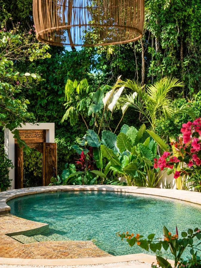 Villa SOLENSSE - Ocean and Jungle View - B&B Uvita