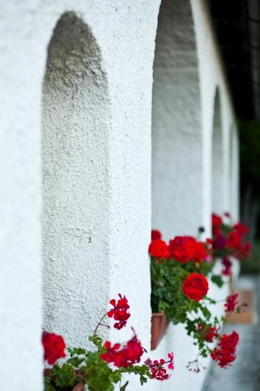 Elisabeth Vendégház - Ferienwohnung Balatonudvari