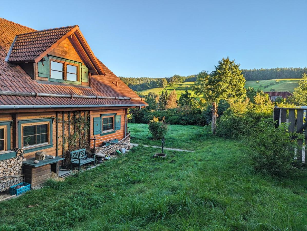 Idyllisches Holzhaus im Grünen - Bed and Breakfast Lippersdorf