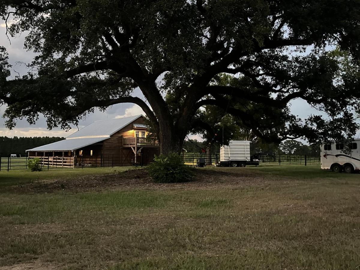 Windmill Trails, The Loft - B&B Tylertown