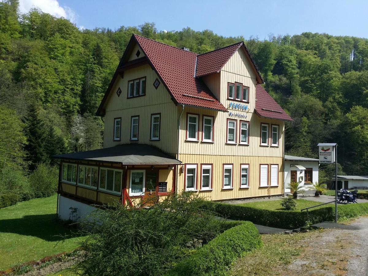 B&B Thale - Pension Waldfrieden - Bed and Breakfast Thale