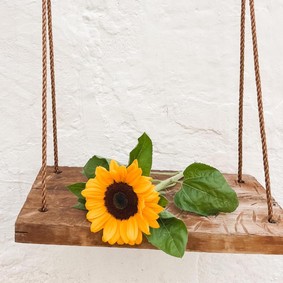 il Girasole - Casa vacanze nel Centro Storico di Putignano - Bed and Breakfast Putignano