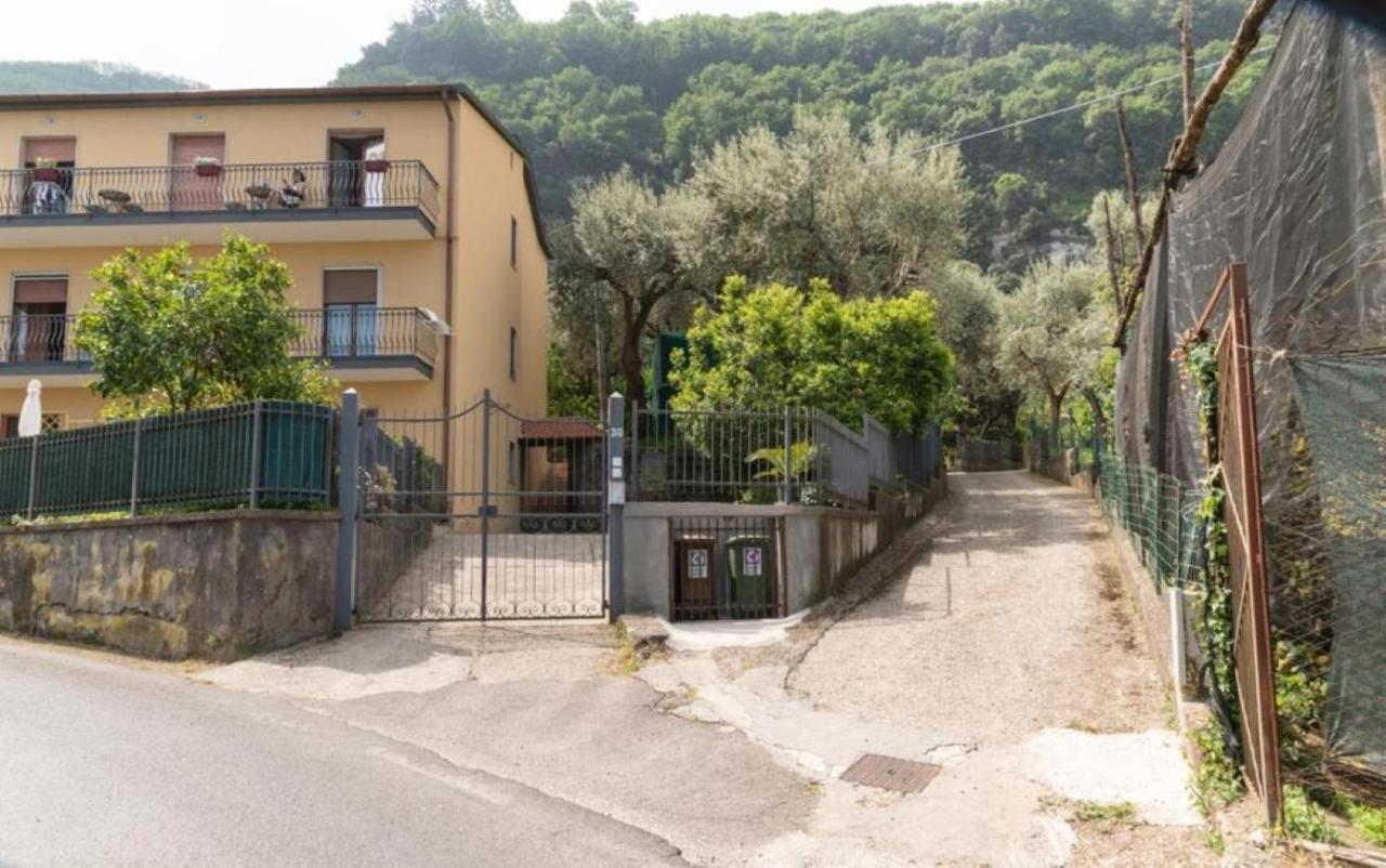 SorrentoVibes - Sea view Rooftop Apartment with Jacuzzi & Garden - B&B Sorrento