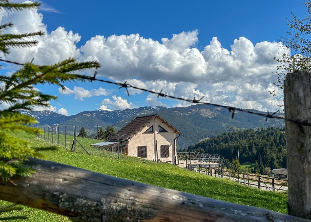 Mounty Nest Fundata - B&B Fundata