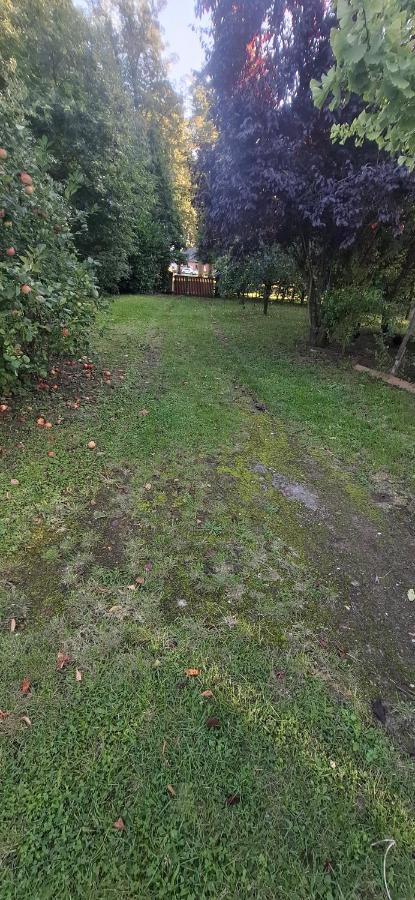 Gartenbungalow in der Natur - B&B Alt Krenzlin