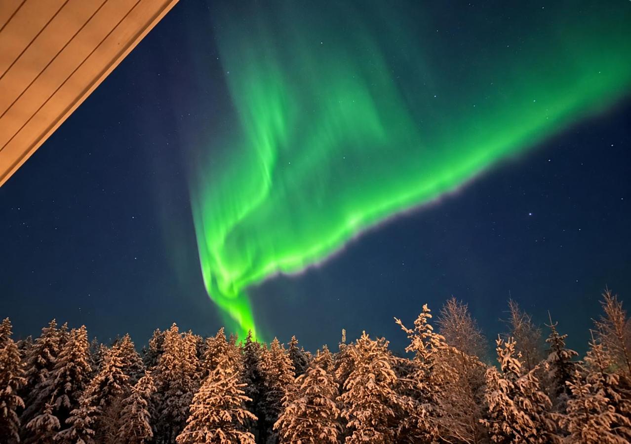 Lapland Prestige Villa Rovaniemi - Chambres d'hôtes Rovaniemi