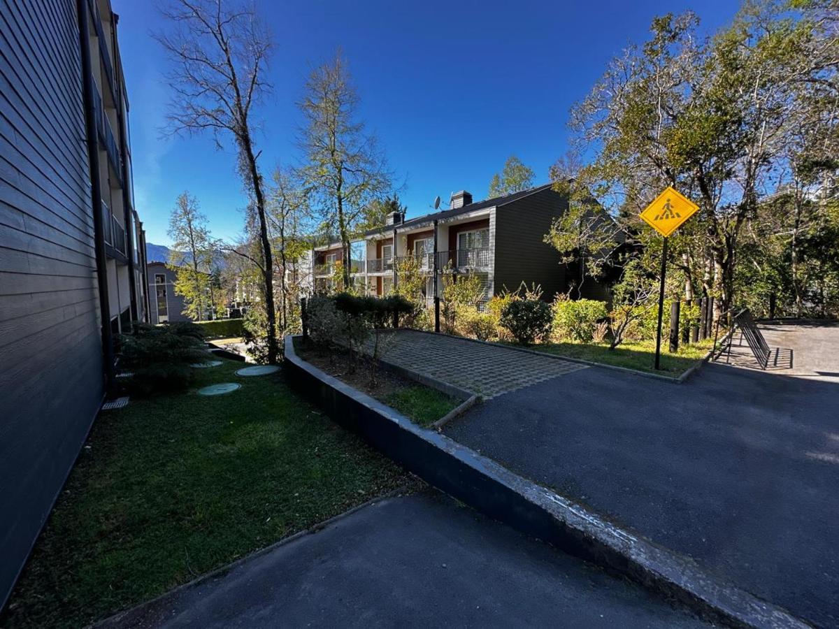 Espacio Bosque Pucon - Ferienwohnung Pucón