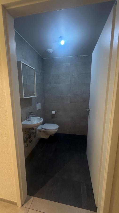 Beautiful, apparently very bright and comfortable - B&B Crissier