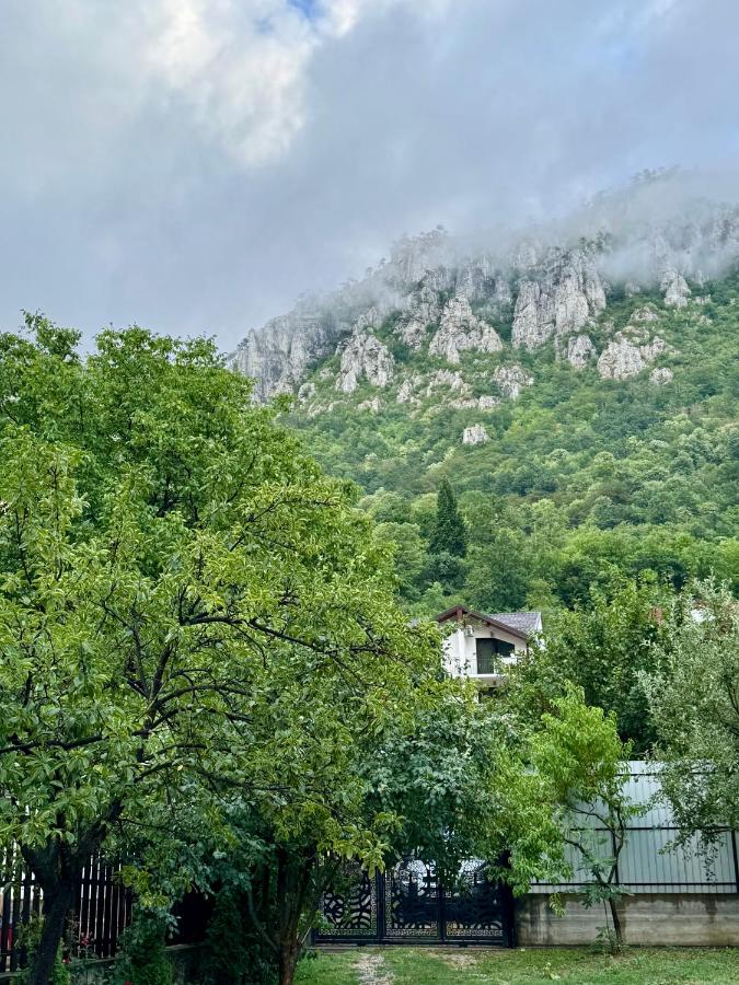 Casa Adelina - B&B Băile Herculane