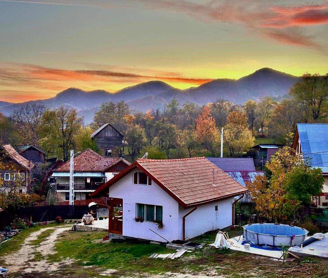 Casa Mihai - Ferienwohnung Bâsca Rozilei