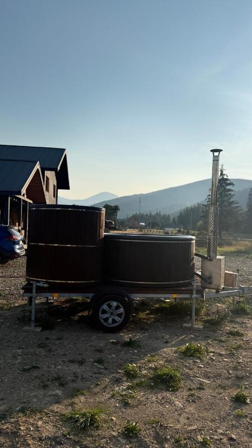 Hoverla View House - Ferienwohnung Vorokhta