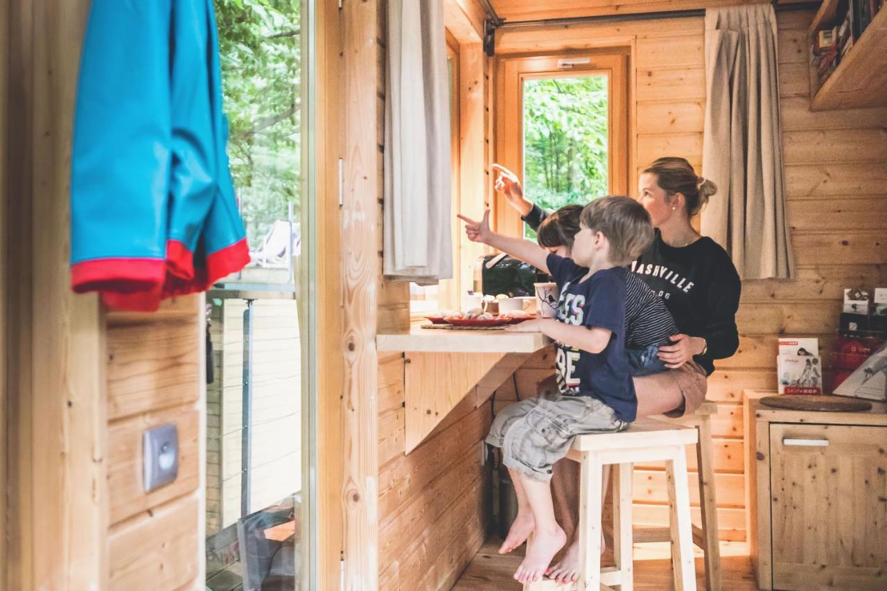 W DRZEWACh domki w koronach drzew - Ferienwohnung Nałęczów