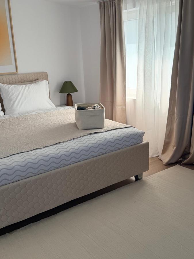 The Garden Hub Apartment 2 - B&B Plopșoru