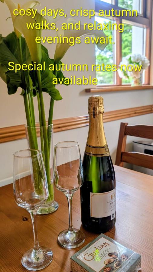 Wild Atlantic Haven, cosy home nr. Ballina & Beach - Bed and Breakfast Ballina