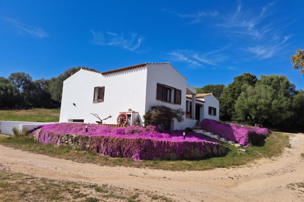 La Suara Manna - Happy Rentals - Ferienwohnung Telti