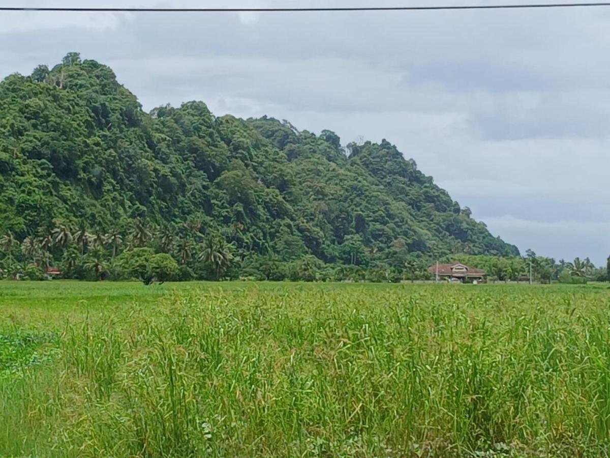 Homestay Tok Melah - B&B Kangar