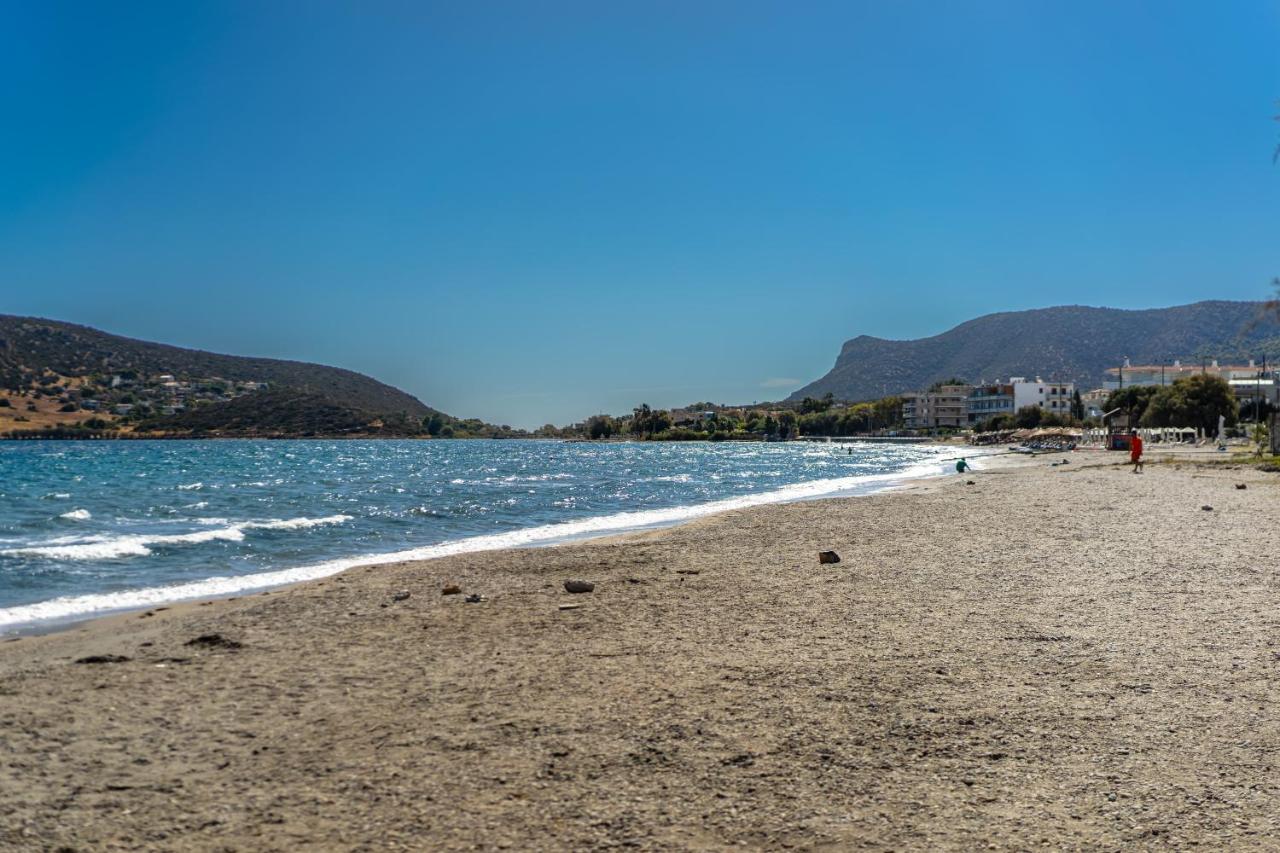 Amelia luxury beachfront apartment near airport - B&B Porto Rafti