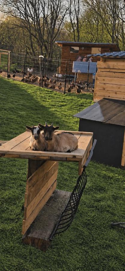 Farma pod Skalkou - Kontatkné zoo - Vírivka - Ski Telgart 15 min - Chambres d'hôtes Heľpa