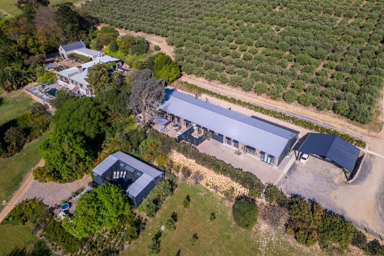 Avemore Olive Le Verger - B&B Stellenbosch