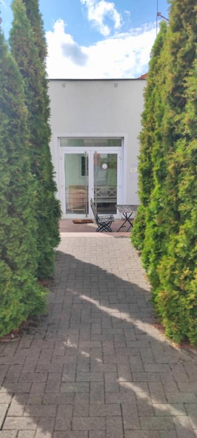 Mega Ferienwohnung fünf Schlafzimmer nur Einzelbetten 198qm bis 12 Personen mit Parkpl Grill WLAN - B&B Veitshöchheim