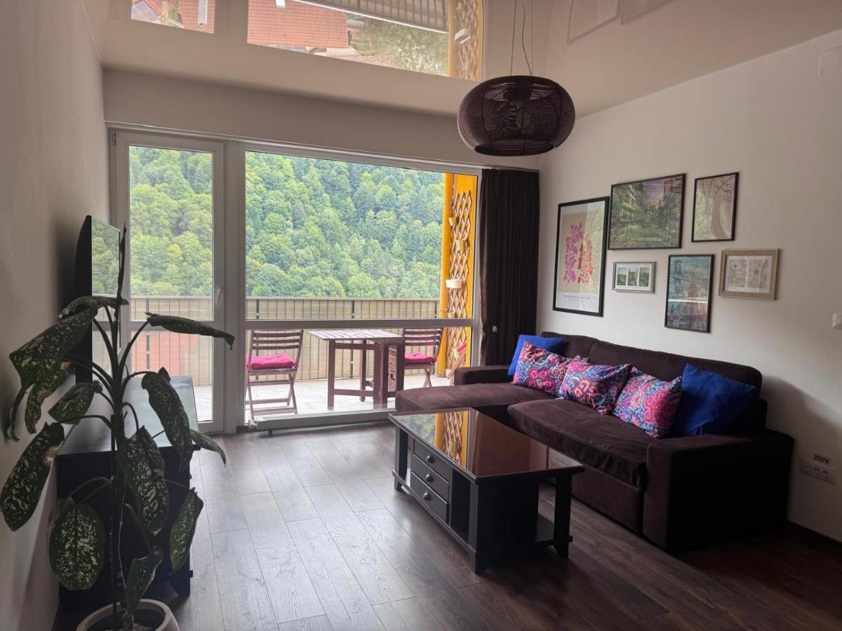 Amazing Brownie by Miro Apartment - B&B Sinaia