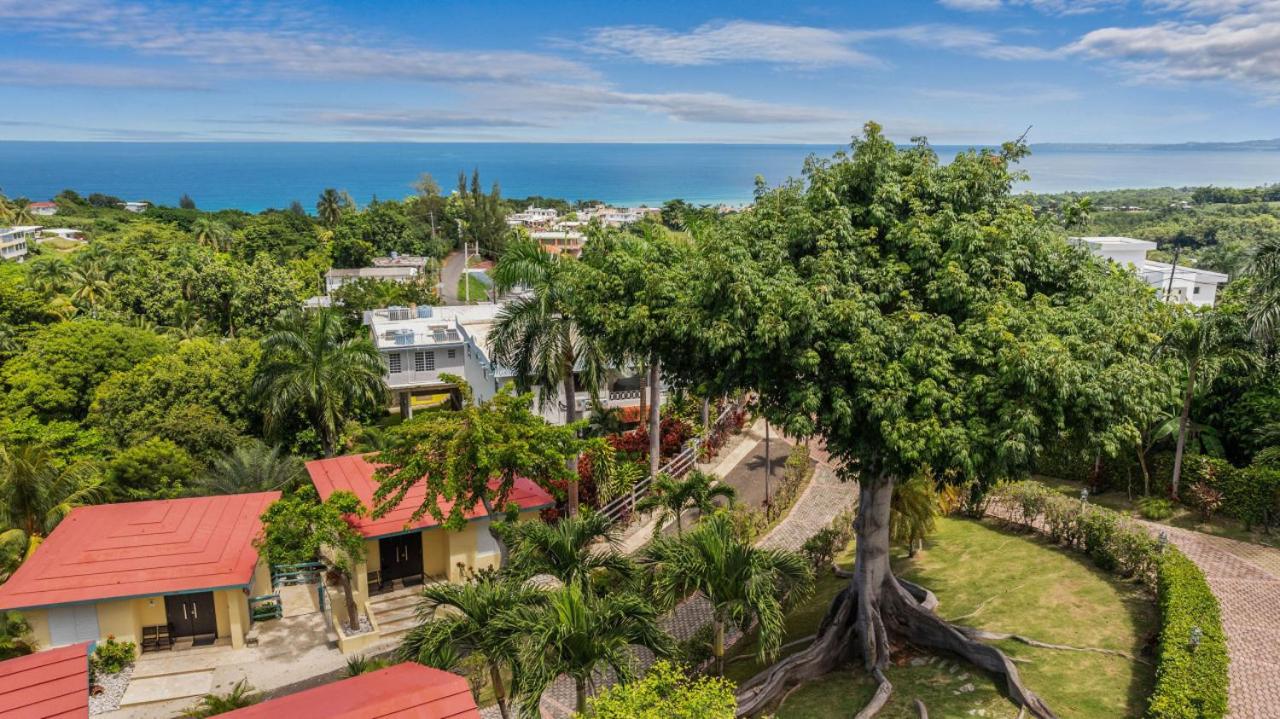 Casita 3 at Ceiba Tree Inn. Tranquility with Garden Views and Pergola with Ocean Overlook - Chambres d'hôtes Rincon