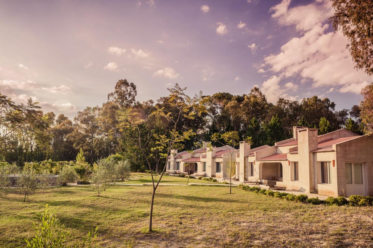 Suites Camacho - B&B Carmelo