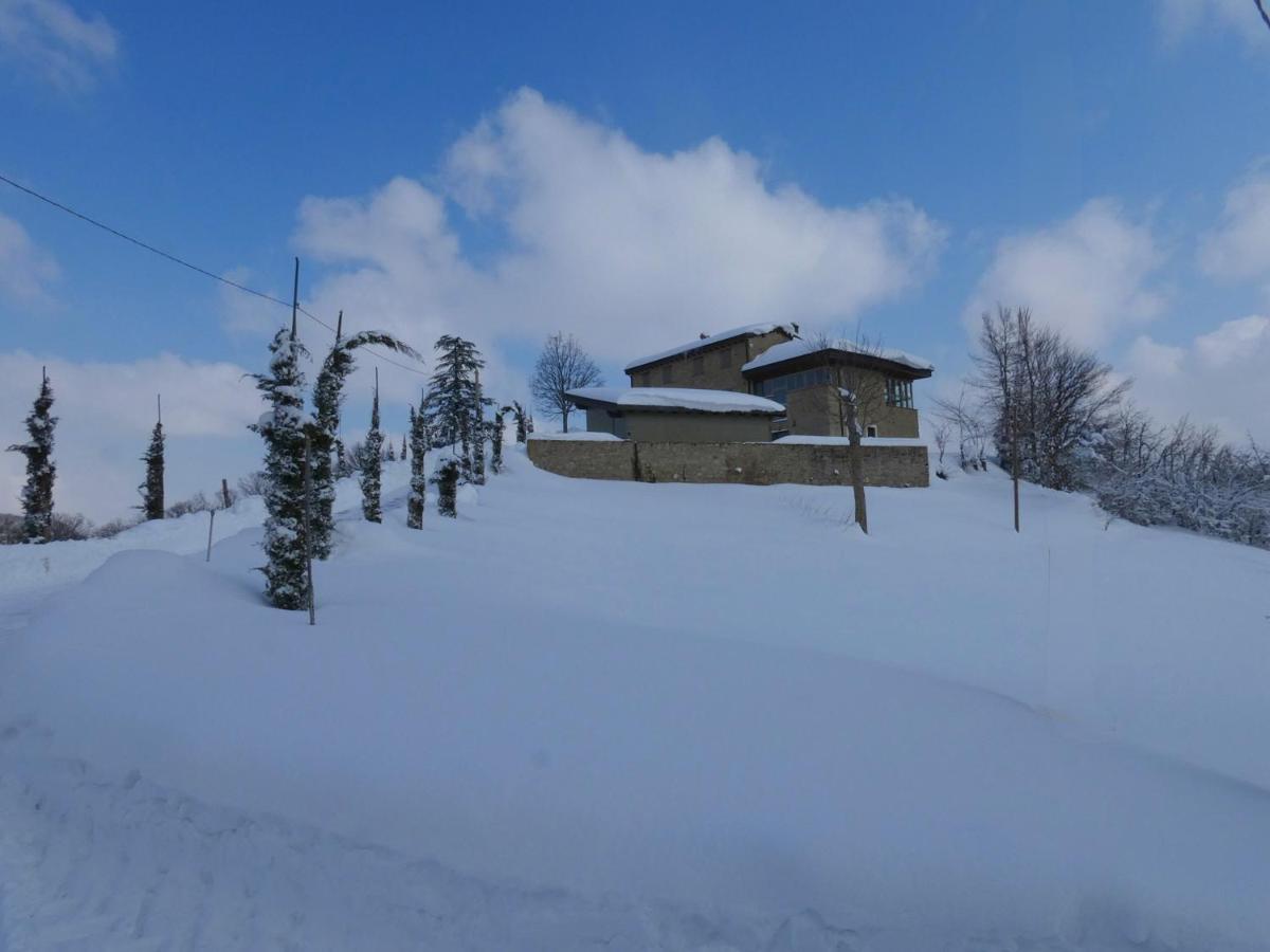 La Collina Zocca - B&B Zocca