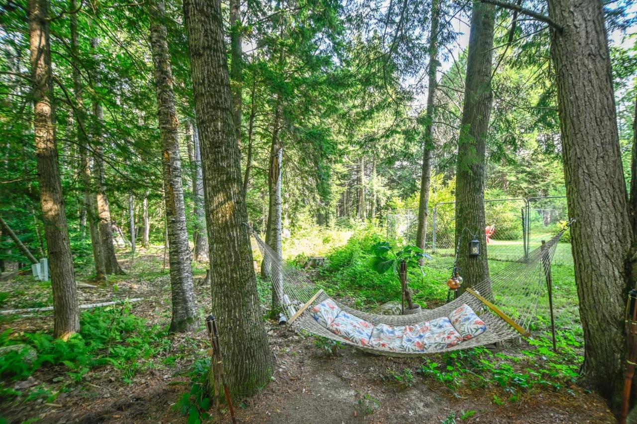 Patio, Sunroom! Forest Retreat Near North Conway - B&B Conway