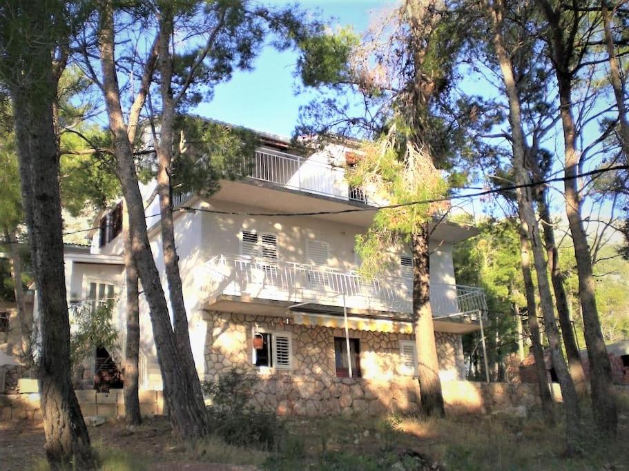 Apartment Veroni - Ferienwohnung