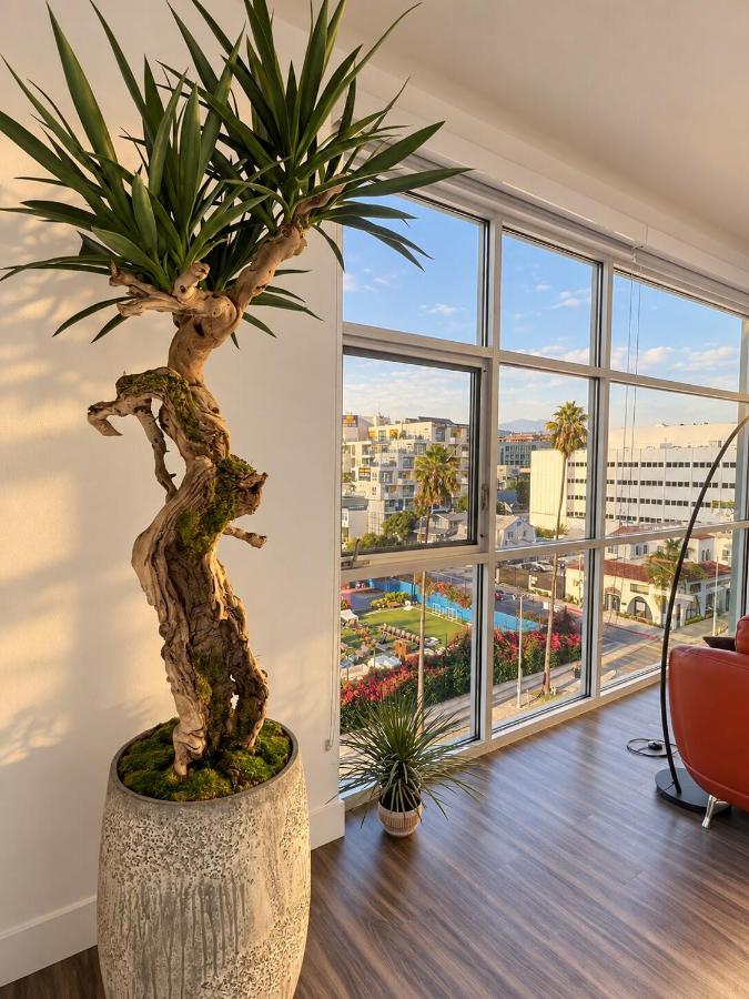 Penthouse 2 Bedroom with Hollywood Sign View! - B&B Los Angeles