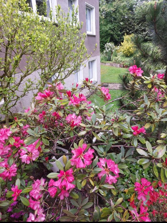 3-Zimmer-Apartment in ruhiger Lage mit Gartenblick - 20km von Düsseldorf - B&B Velbert