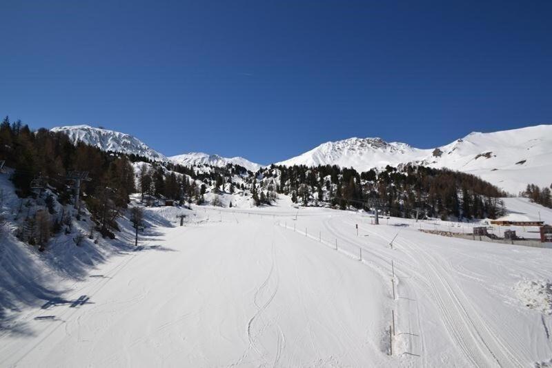 Résidence Le France - Studio 3 pers - LE FRANCE - 529FR - PLAGNE CENTRE MAE-8794 - Chambres d'hôtes Aime