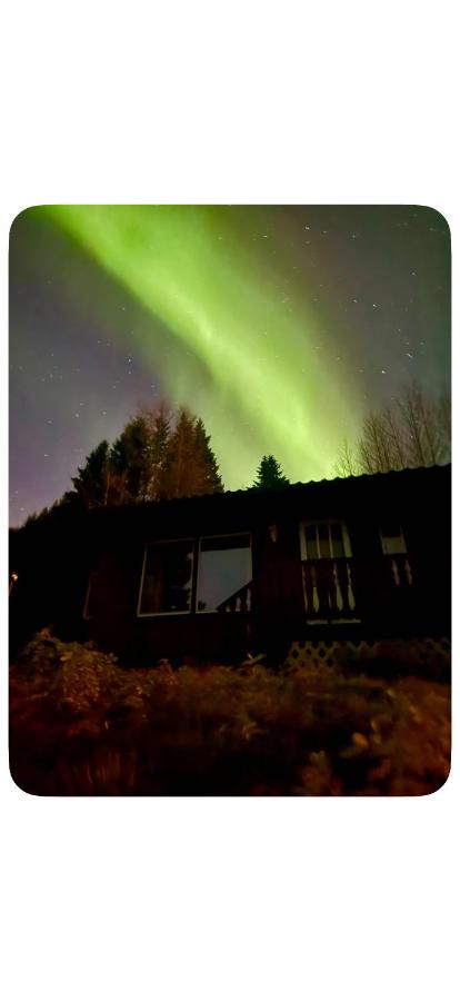 Aurora Haven - B&B Kovan