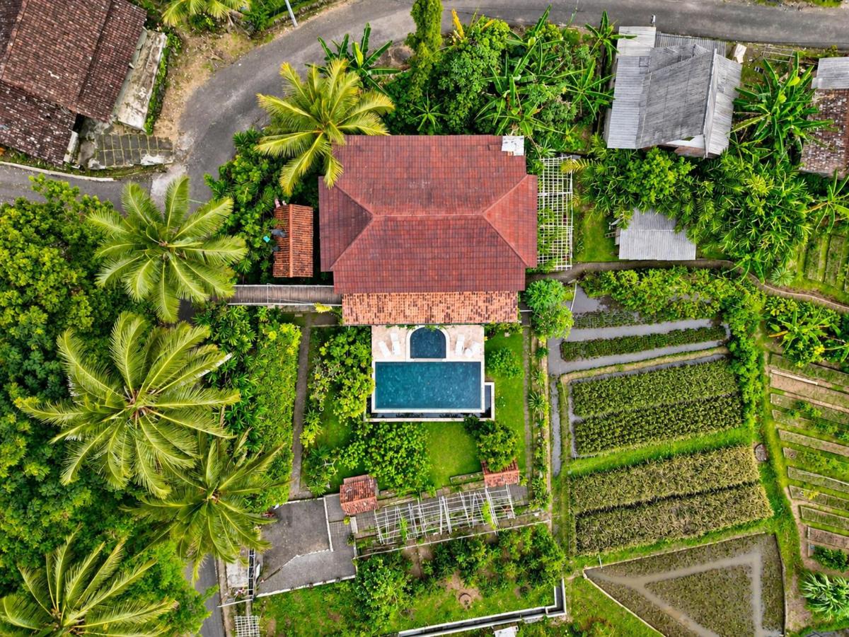 Pondok Is Oke bambo infinity pool - B&B Lijen