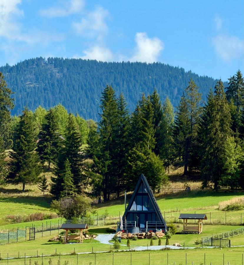 Chalet Charme Bucovina - B&B Coșna