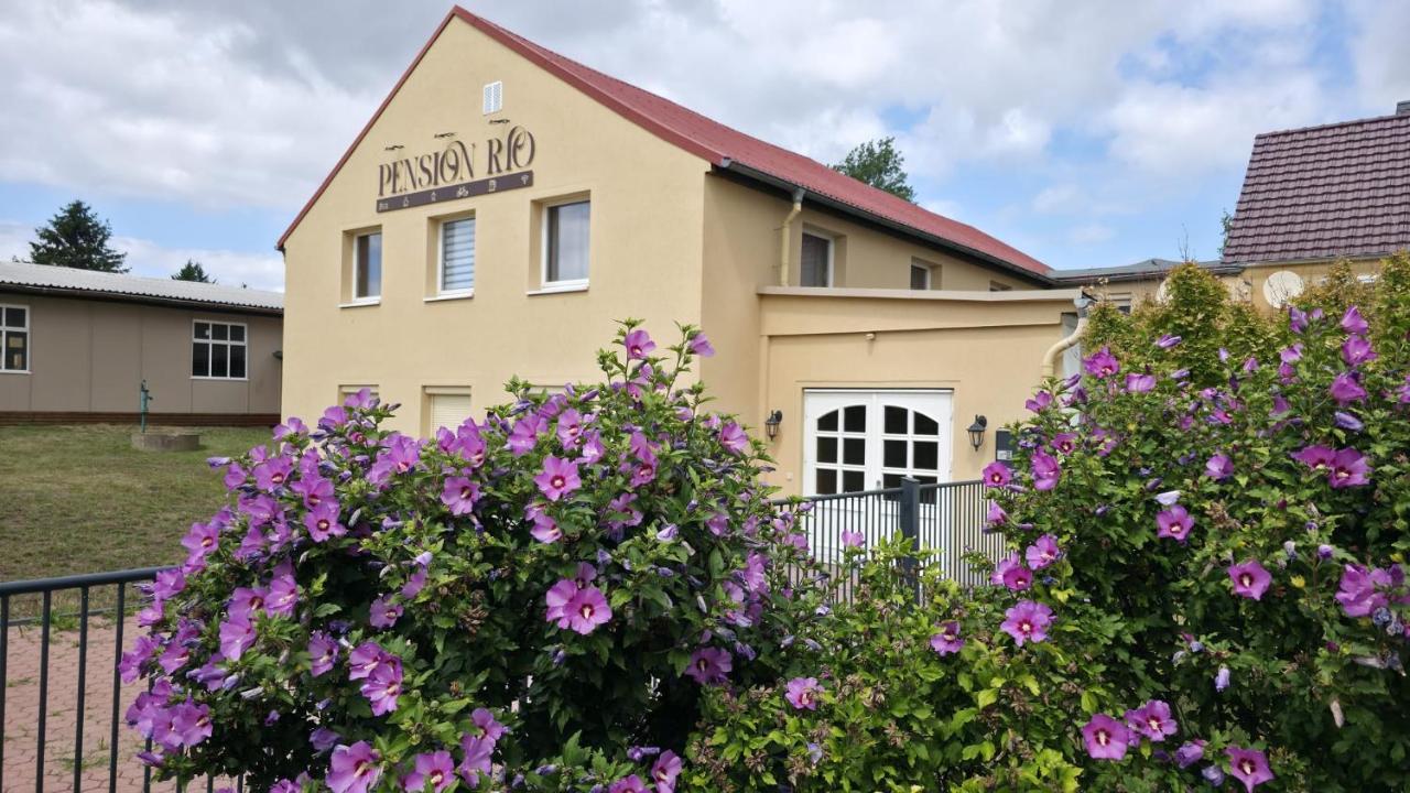 Pension Rio - B&B Oschatz