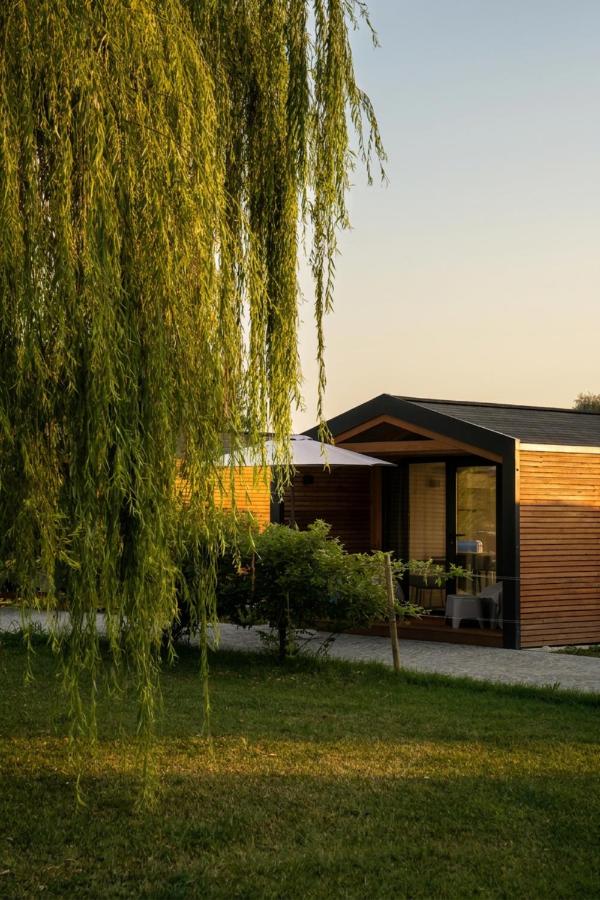 LA CASCINA DI CARLOTTA - 1846 - Agriturismo - B&B Alba