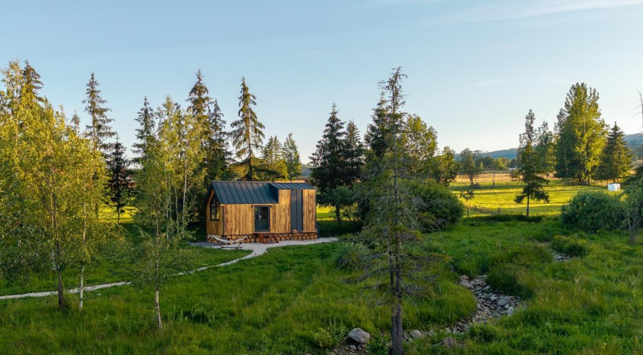 WildKind Nature Retreat - B&B Sărișor