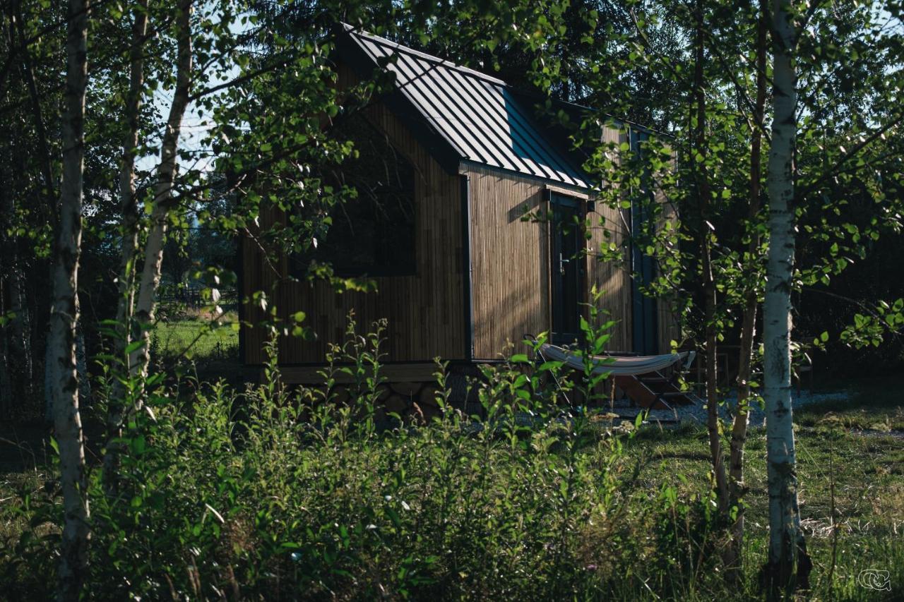 WildKind Nature Retreat - B&B Sărișor