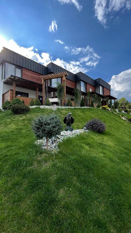Aerie Eco Villa - B&B Skhidnytsia