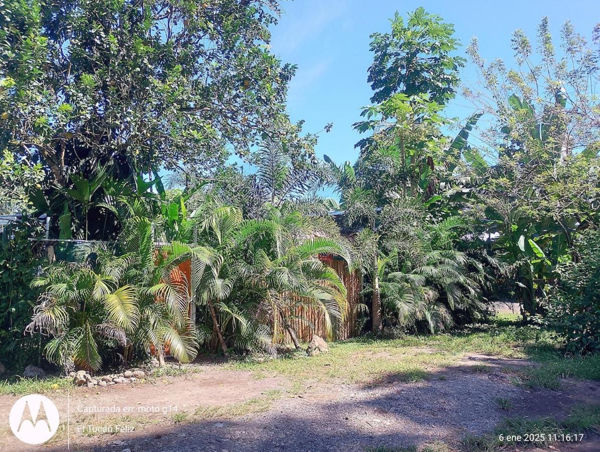 El Tucan Feliz - Boho Jungle Tiny Guest House With Private Mini Pool Oasis, AC, & Playa Cocles - Chambres d'hôtes Cocles