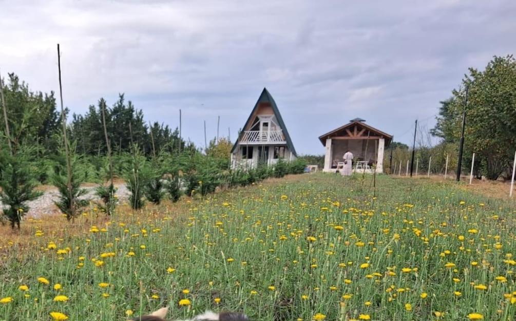 Kvara Cottage - Bed and Breakfast Ets’eri