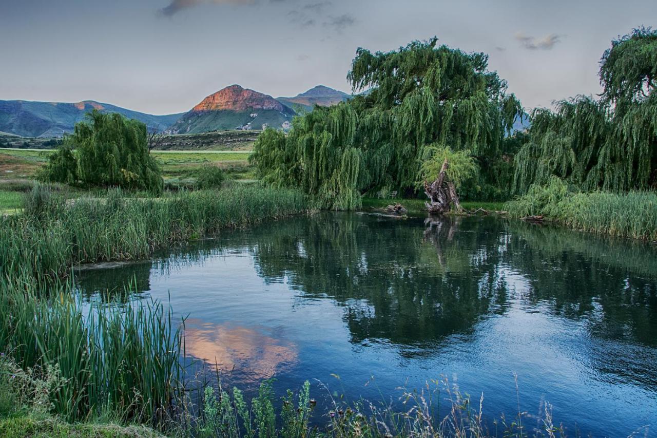 B&B Clarens - De Molen Farm - Bed and Breakfast Clarens