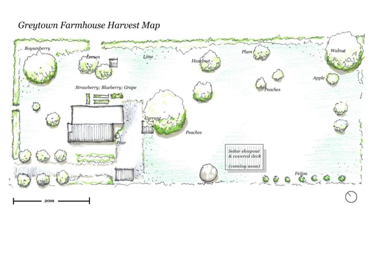 Greytown Farmhouse - B&B Greytown