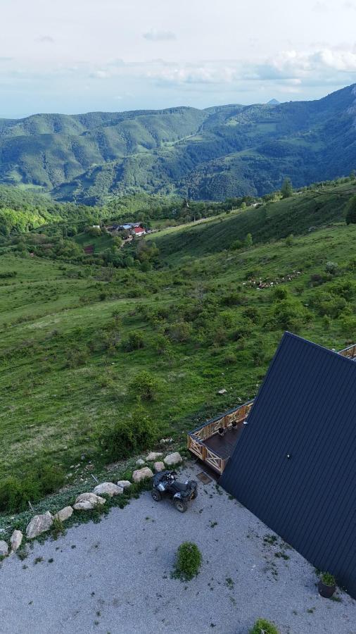 Dream view of Apuseni - Bed and Breakfast Râmeţ