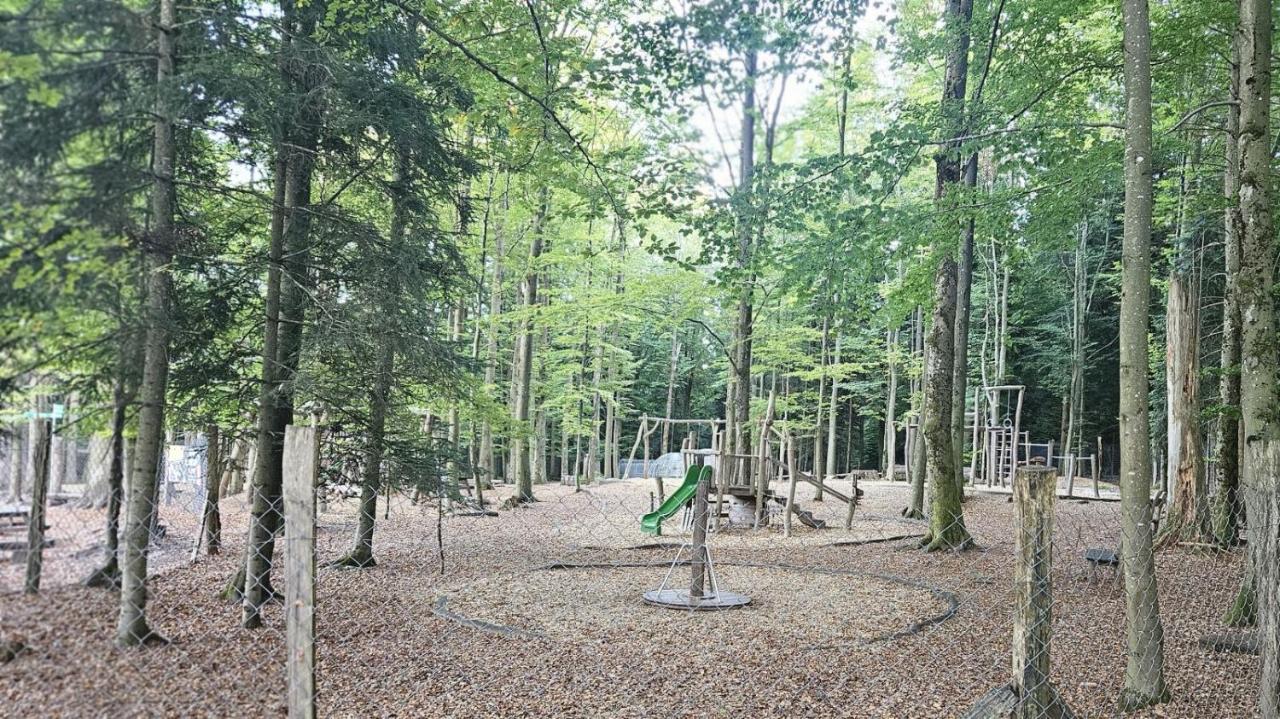 Ruhiges Premium-Appartement im Schwarzwald - B&B Bad Wildbad